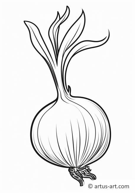Onion Bulb Coloring Page